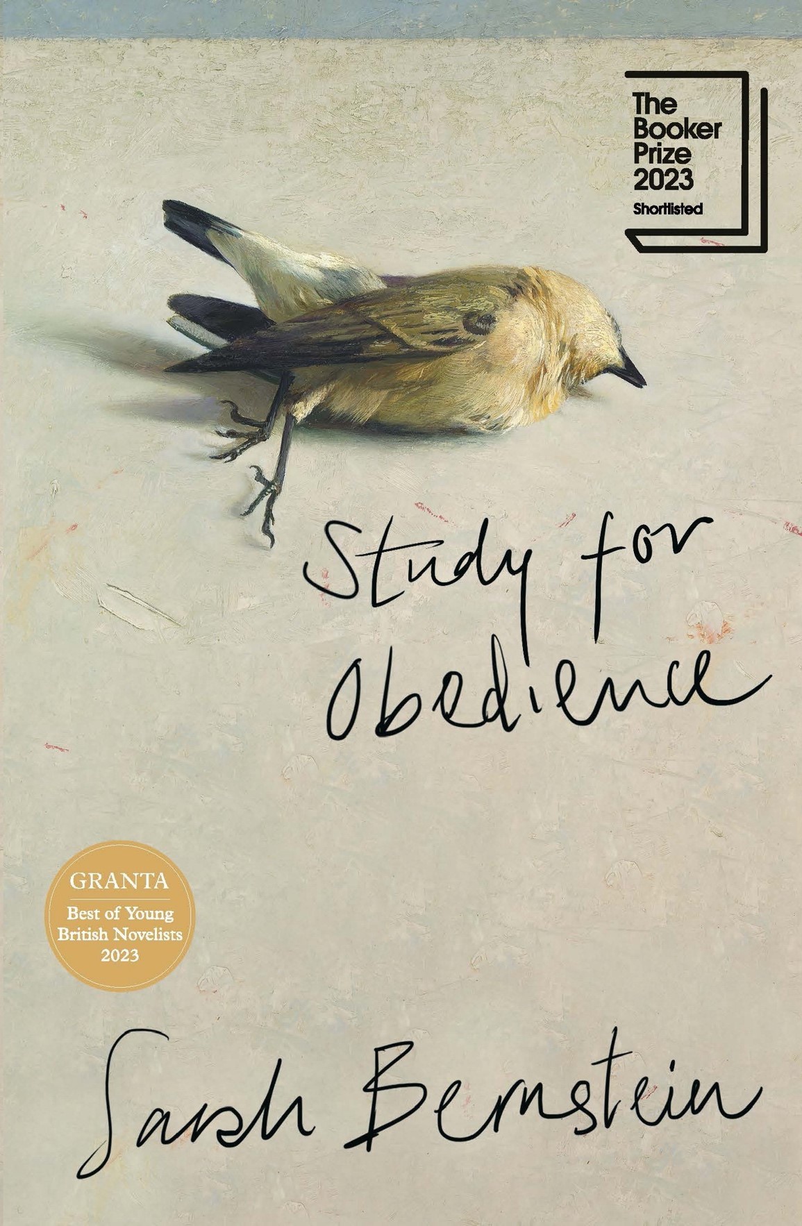 Study For Obedience by Sarah Bernstein